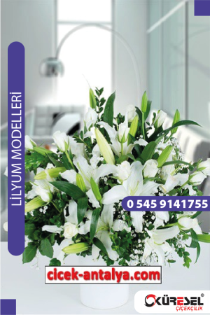 Antalya Lilyum Çiçek Sipariş L02 Lilyum