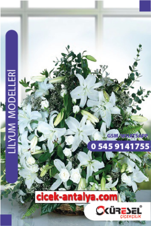 Lilyum Çiçek Sipariş Model L03 Lilyum antalya lilyum çiçek gönder
